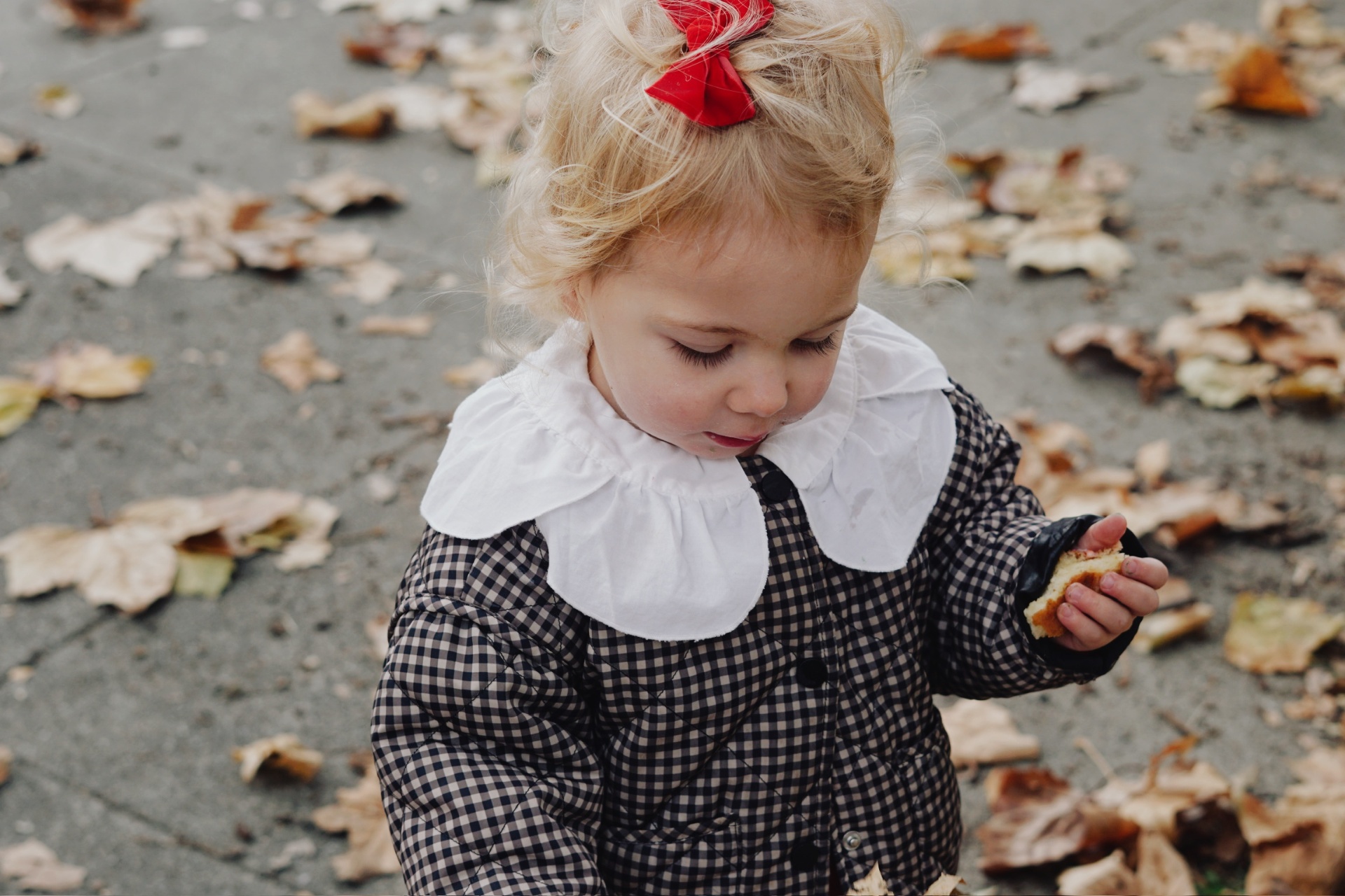 The Testa daughter in a gingham coat and red bow holding a treat among autumn leaves